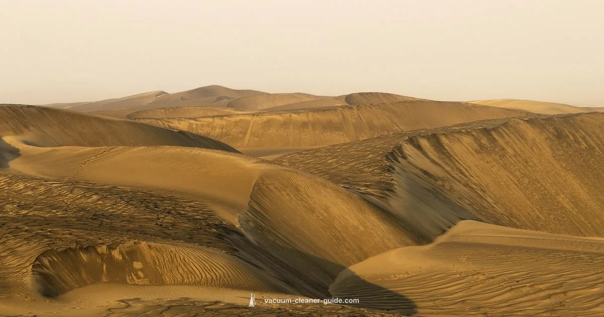 Wet & Dry Vacuum Guide - Vacuum Cleaner Guide