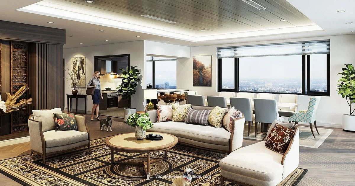 Carpet Cleaning Power - Vacuum Cleaner Guide