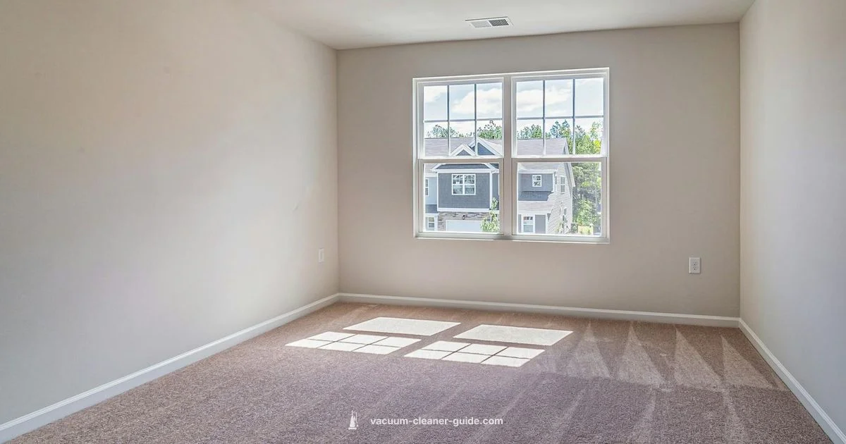 DIY Carpet Cleaner - Vacuum Cleaner Guide