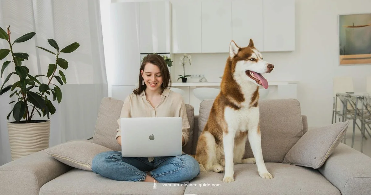 Pet Hair Vacuum Guide - Vacuum Cleaner Guide