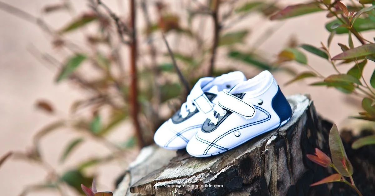 Carpet Cleaning Safety - Vacuum Cleaner Guide