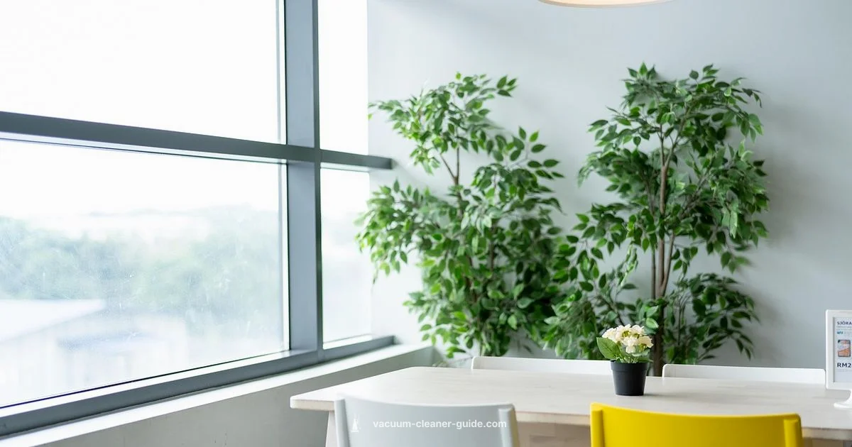 Powerful Canister Design - Vacuum Cleaner Guide