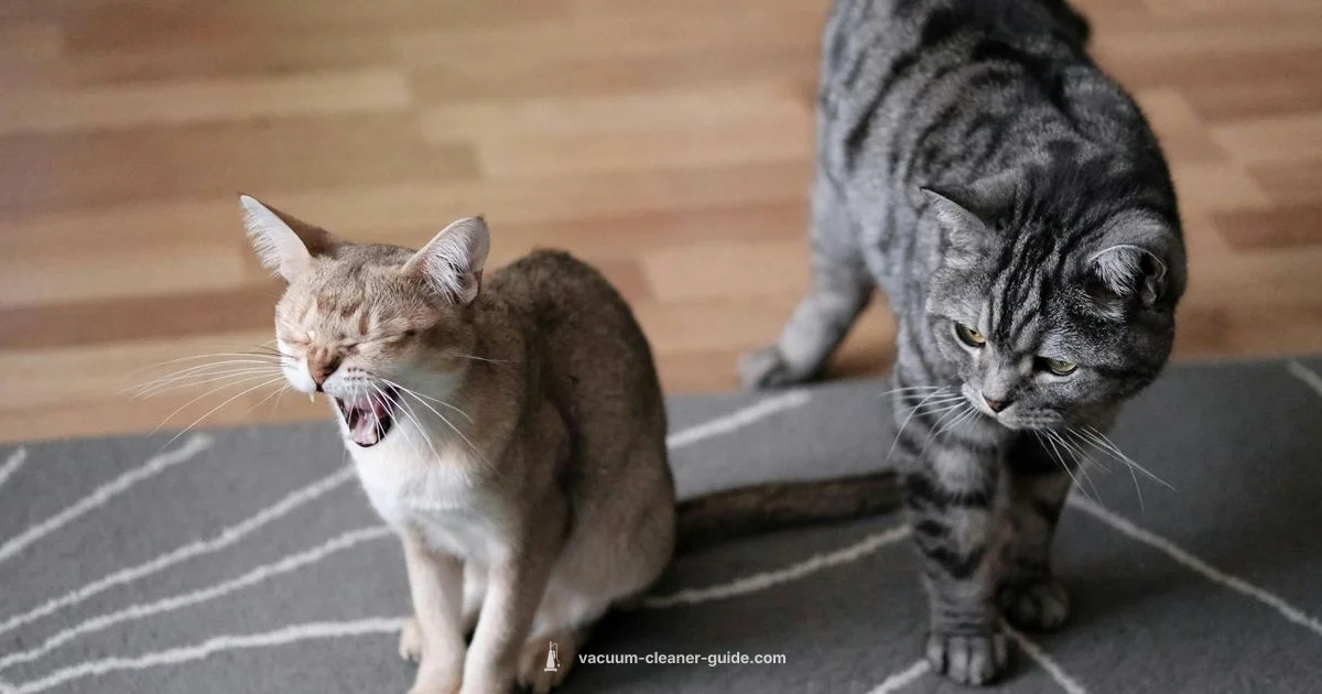 Pet Hair Mastery - Vacuum Cleaner Guide