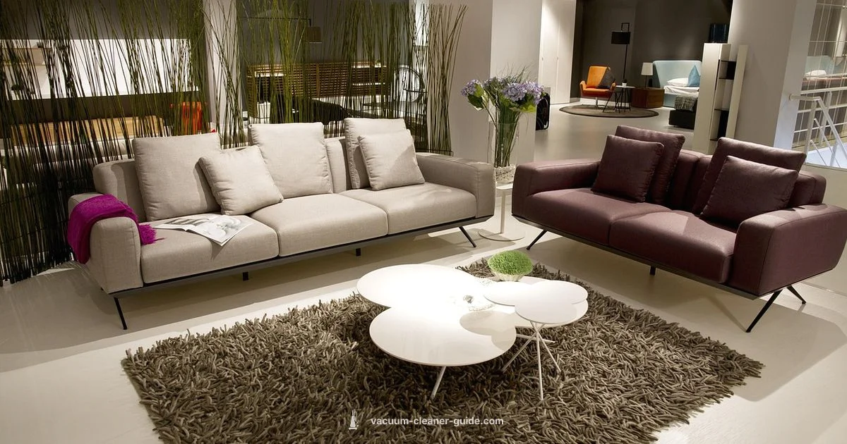 Carpet Cleaning Guide - Vacuum Cleaner Guide