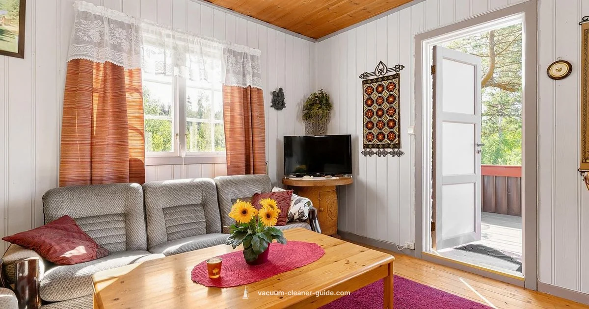 Dyson Vacuum Guide - Vacuum Cleaner Guide