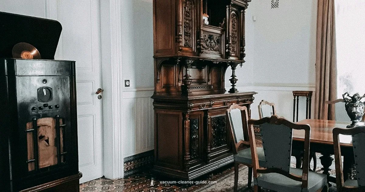 The First Vacuum Cleaner - Vacuum Cleaner Guide