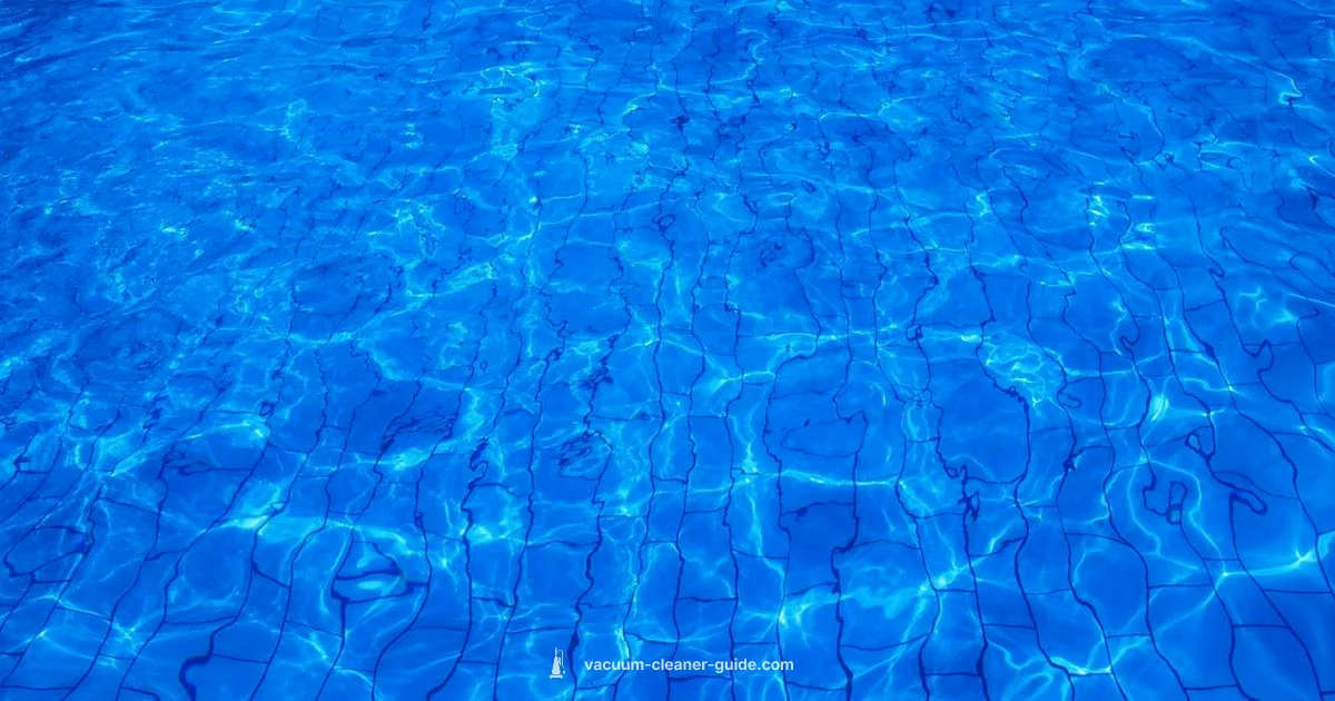 Top Pool Vacuums - Vacuum Cleaner Guide