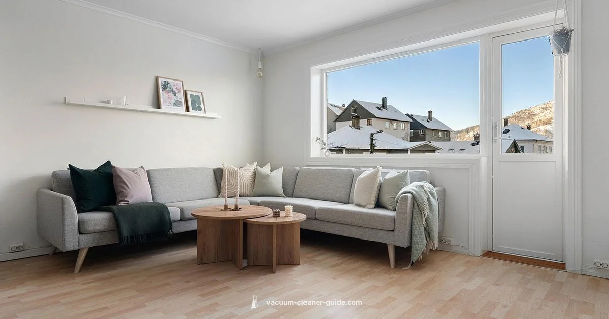 Dyson V15 Total Clean - Vacuum Cleaner Guide