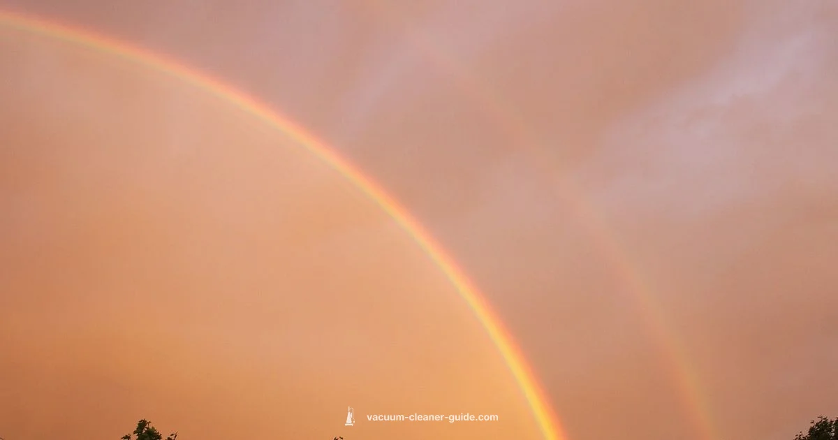 Rainbow Vacuum Setup - Vacuum Cleaner Guide