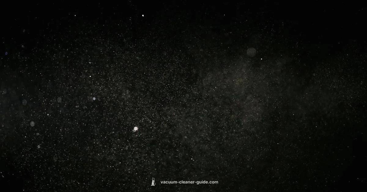 Dust Hazard - Vacuum Cleaner Guide