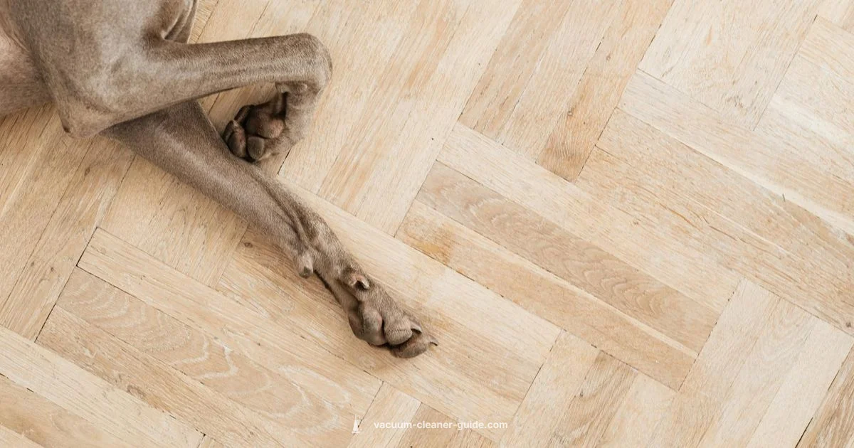 DC14 All Floors - Vacuum Cleaner Guide