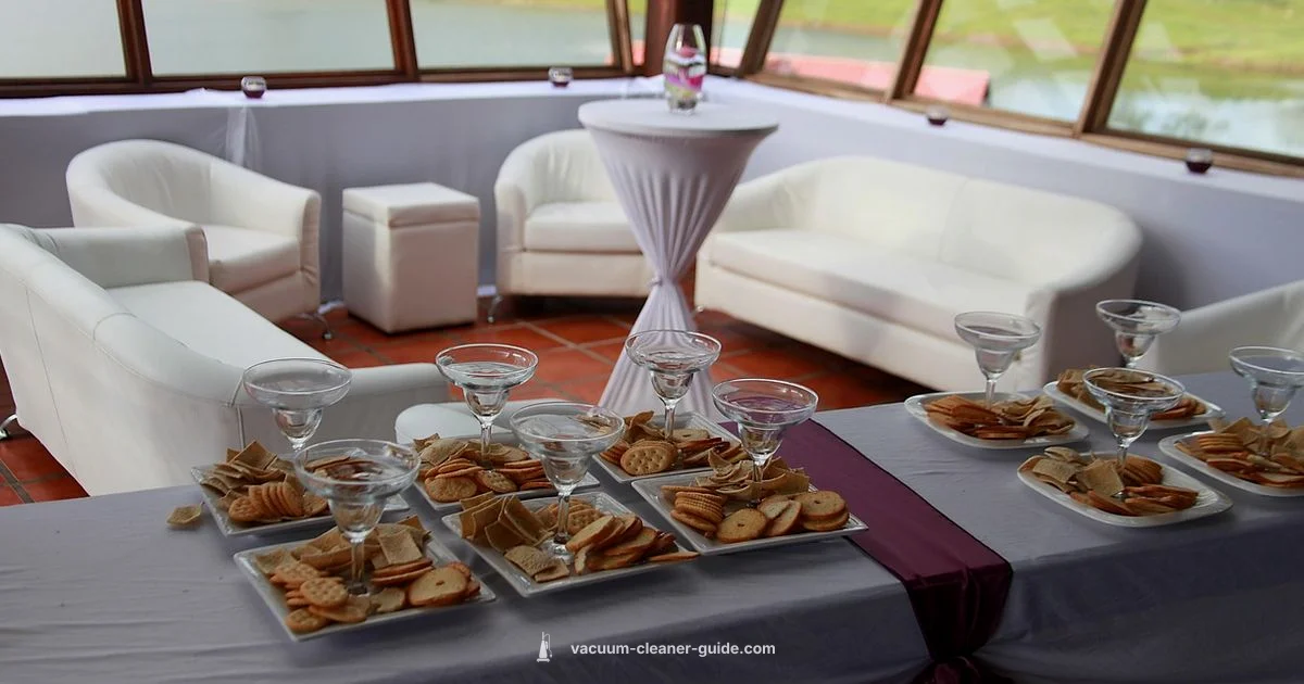 Pet Hair Mastery - Vacuum Cleaner Guide