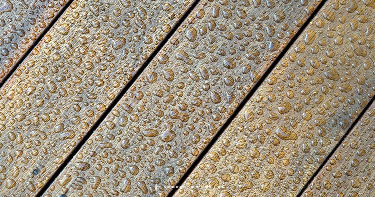 Hardwood Floor Vacuuming - Vacuum Cleaner Guide